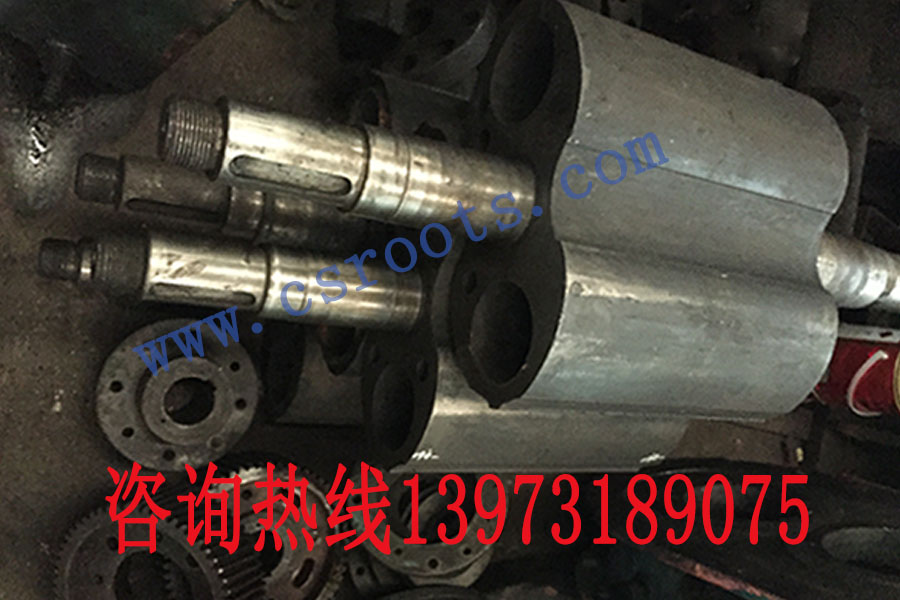 ARMG-300罗茨鼓风机 双叶轴